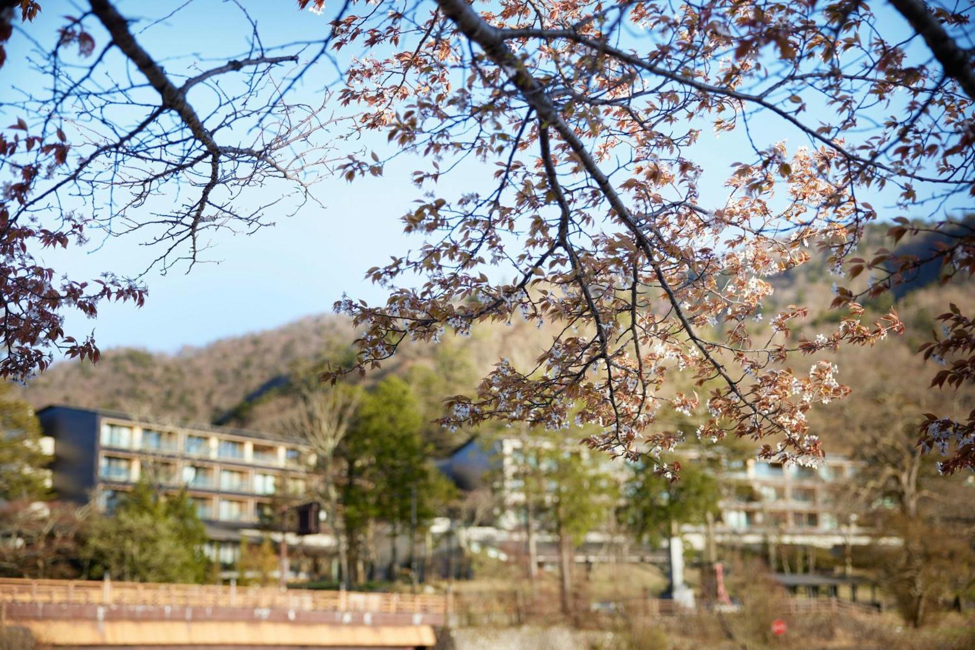 The Ritz-Carlton, Nikko Otel Dış mekan fotoğraf